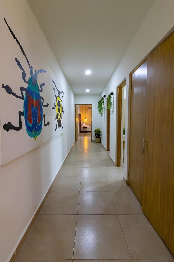 Elementus Tulum Apartment ภายนอก รูปภาพ